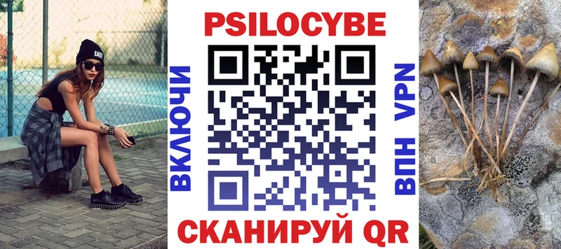 Купить закладки  Заполярный  Псилоцибиновые грибы мицелий 